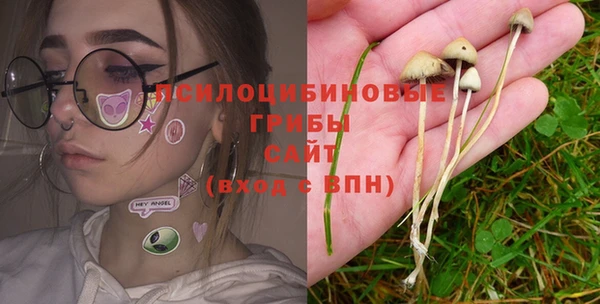 а пвп мука Алексеевка