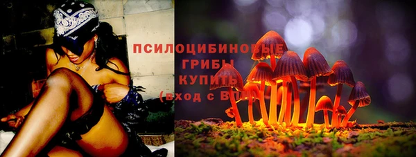 не бодяженный Алексин